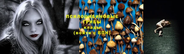 шишки Алексин