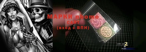 шишки Алексин