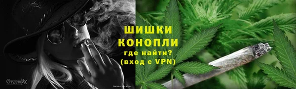 гидра Рославль