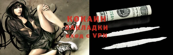 шишки Алексин