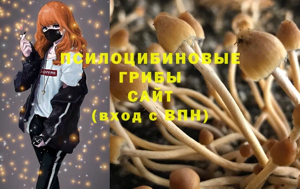 шишки Алексин