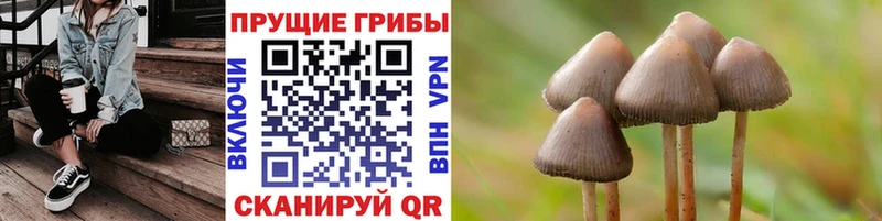 Псилоцибиновые грибы мухоморы  Гвардейск 